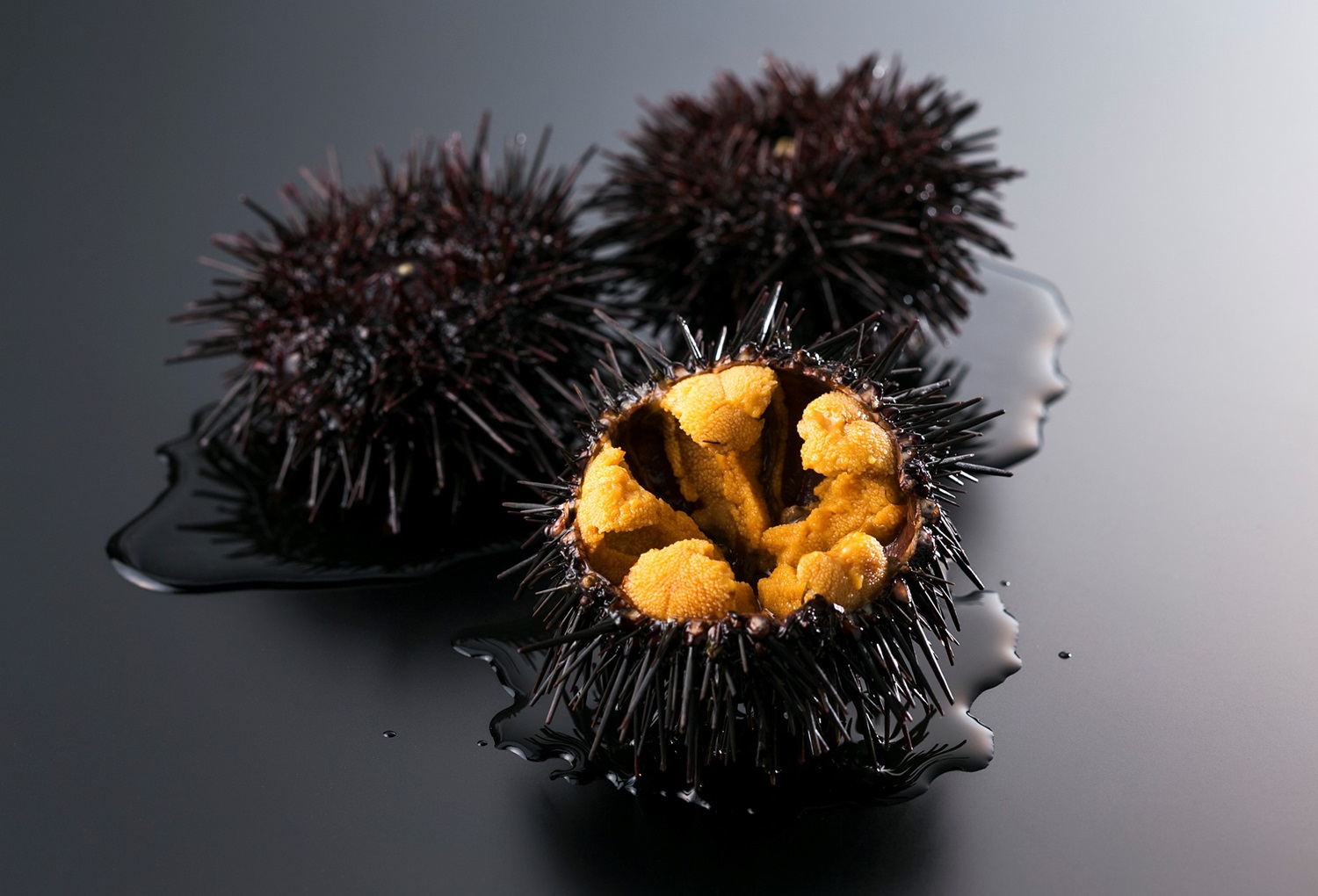 Dai mari del Giappone a Identità Milano 2025, Jetro porta in scena la cultura e i sapori delle eccellenze ittiche nipponiche