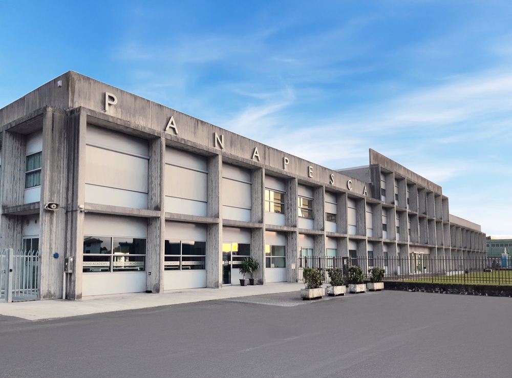 PESCE SURGELATO SEMPRE PIU’ AMATO IN EUROPA E IN ITALIA. IL GRUPPO PANAPESCA, PUNTO DI RIFERIMENTO DAL 1972 PER L’ITTICO SURGELATO, TRAINA IL MERCATO NAZIONALE E INTERNAZIONALE. FATTURATO A 148 MILIONI NEL 2024